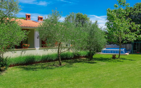 Corina: Planta, Nube, Cielo, Árbol, Paisaje Natural, Edificio, El Terreno Del Lote, Hierba, Barrio Residencial, Arbusto
