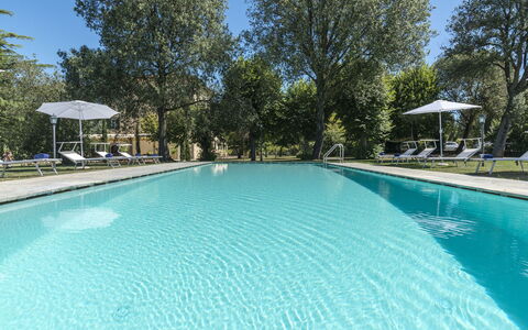 Villa Ivana - Cortona: Piscina, Propiedad, Bienes Raíces, Ocio, Casa, Edificio, Inmuebles, Recurso, Casa, Árbol