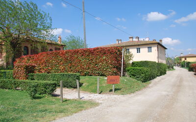 agriturismo-cabbiavoli-chianti-multiproperty-casa-marcello-pesco-external