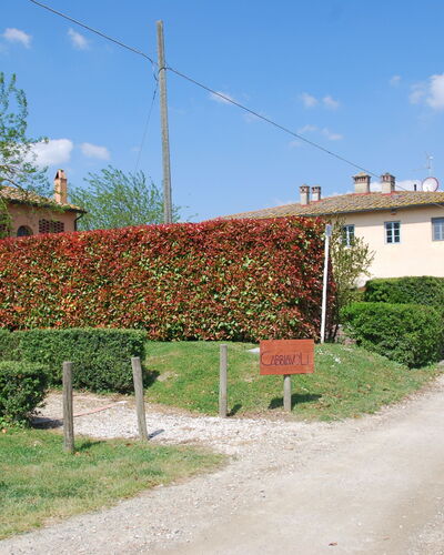 Casa Marcello - Ciliegio