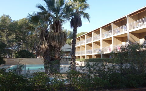 La Marina: Árbol, Arquitectura, Palmera, Cielo, Arecales, Plantas Leñosas, Bienes Raíces, Planta, Edificio, Casa