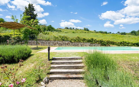 Villa Alba: Paisaje Natural, Vegetación, Naturaleza, Reserva Natural, Hierba, Jardín Botánico, Cielo, Pasarela, Entorno Natural, Estanque