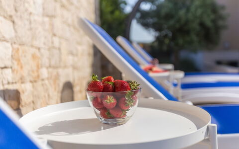 Roko: Comida, Vajilla, Mesa, Vajilla, Plato, Azul, Cocina, Fruta, Utensilios Para Servir