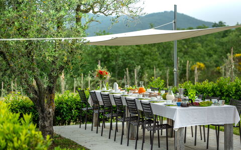 Borgo Gerlino: Paraguas, Mesa, Mesa Al Aire Libre, Jardín, Yarda, Mueble, Hierba, Patio Interior, Patio, Césped