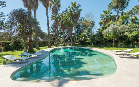 Giulia: Agua, Planta, Piscina, Cielo, Árbol, Arecales, Sombra, Mueble Para Exteriores, Hierba, Bienes Raíces