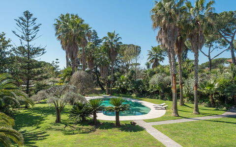 Giulia: Planta, Cielo, Planta De La Comunidad, Paisaje Natural, Árbol, Planta Terrestre, El Terreno Del Lote, Arecales, Hierba, Paisaje