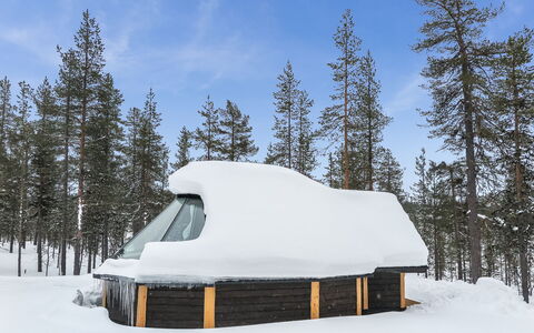 Arctic Light Hut: Nieve, Invierno, Congelación, Hielo, Capa De Hielo, Escarcha, Cuarto De Troncos