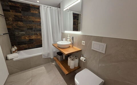 Du Glacier C2: Piso, Arreglo De Tubería, Diseño De Interiores, Suelo, Baño, Madera, Lavabo, Lavabo Del Baño, Espejo, Grifo