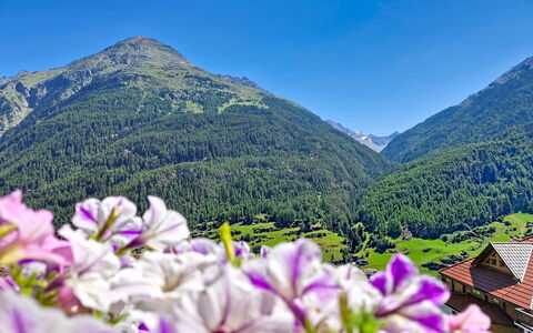 Alpenblick: Montaña, Accidentes Geográficos Montañosas, Flor, Colina, Cordillera, Tierras Altas, Hill Station, Paisaje, Valle, Cresta