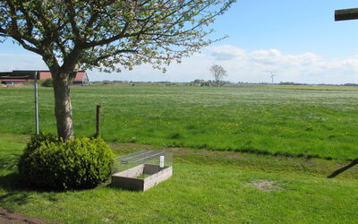 Rosenboom