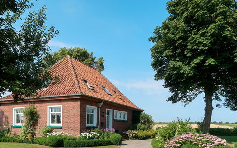 Huuske am Polder: Casa, Casa, Propiedad, Barrio Residencial, Cabaña, Inmuebles, Edificio, Árbol, Bienes Raíces, Cielo