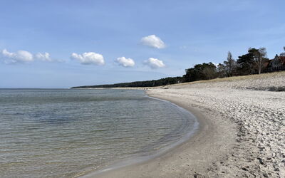 Am Walde