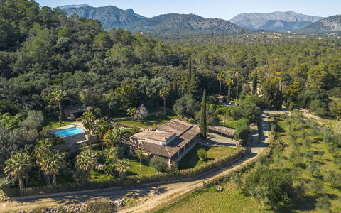 Can Ferre Nou: Árbol, Inmuebles, Plantación, Hacienda, Eco Hotel, Casa De Campo, Mansión, Villa, Hojas Perennes