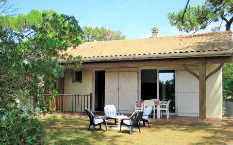 Anne Marie: Planta, Cielo, Edificio, Propiedad, Planta De La Comunidad, Sombra, Árbol, Ventana, Casa, El Terreno Del Lote