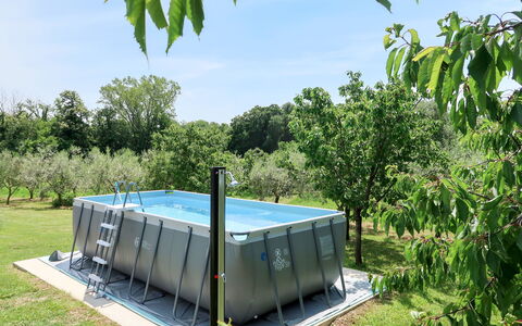 Fortica: Piscina, Casa, Árbol, Arquitectura, Bienes Raíces, Planta De La Comunidad, Planta, Ocio, Edificio