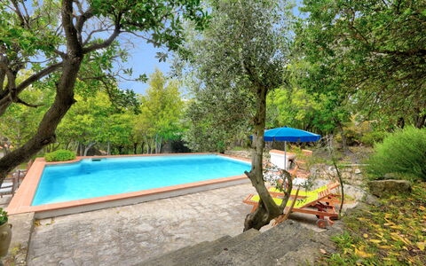 Ciuffini: Planta, Agua, Piscina, Árbol, Sombra, Mueble Para Exteriores, Cielo, Paisaje, Ocio, Hierba