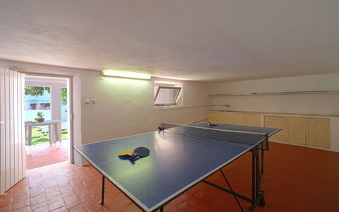 Azul: Mueble, Mesa, Ventana, Equipo Deportivo, Edificio, Tabla Raqueta De Tenis, Silla, Salón, Madera, Suelo