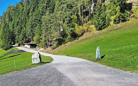Radstadt 606: Hierba, Árbol, Superficie De La Carretera, La Carretera, Asfalto, Arbusto, Vía Pública, Cobertura Del Suelo, Puerto De Montaña