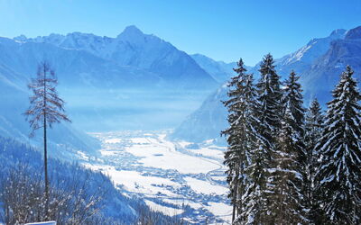 Zell am Ziller 617