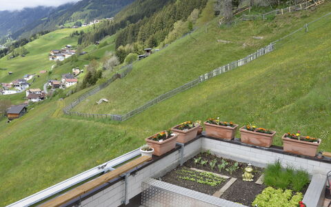 Bergblick: Planta, Cielo, Montaña, Pendiente, El Terreno Del Lote, Edificio, Paisaje Natural, Diseño Urbano, Hierba, Árbol