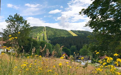 Harrachovka