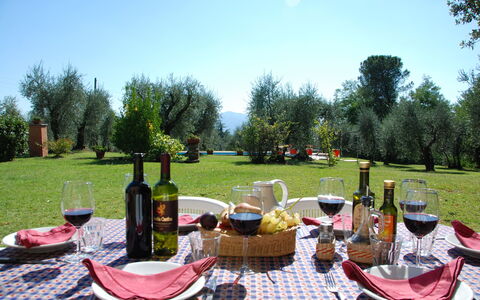 Casa Tonio: Comida, Picnic, Evento, Recreación, Mesa, Fotografía, Manteles, Linos, Paisaje, Restaurante