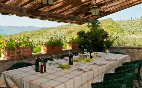 Casavecchia: Mesa, Planta, Flor, Propiedad, Mueble, Vajilla, Maceta, Botella, Silla, Manteles