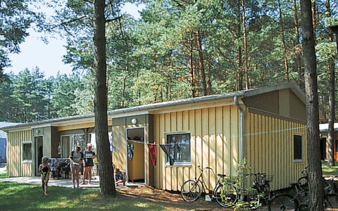 Silz 603: Propiedad, Casa, Casa, Edificio, Cobertizo, Cabaña, Árbol, Bienes Raíces, Cuarto De Troncos, Vía Muerta