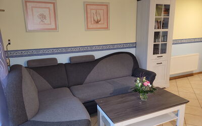 Breege 639: Mueble, Marco, Propiedad, Mesa, Flor, Planta, Sofá, Diseño De Interiores, Sofá Cama, Suelo