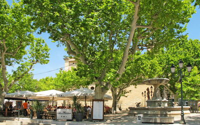 Maussane les Alpilles 613