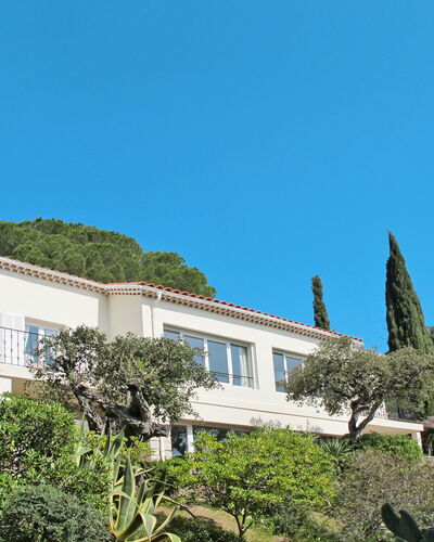 Le Lavandou 604