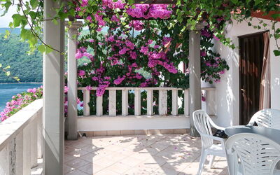 Alojamiento:&nbsp;Violetta 755.1