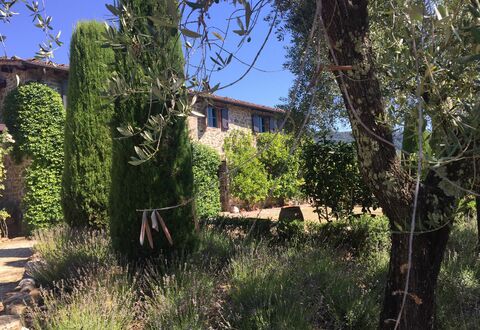 Macennere: Vegetación, Propiedad, Árbol, Casa, Cielo, Edificio, Arbusto, Familia De Las Gramíneas, Área Rural, Arquitectura