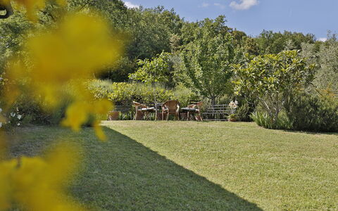 Ricavoli: Naturaleza, Paisaje Natural, Amarillo, Propiedad, Jardín, Hierba, Árbol, Botánica, Césped, Paisaje
