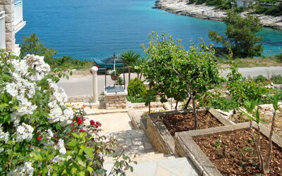 Korčula Korčula 604: Propiedad, Bienes Raíces, Casa, Planta, Edificio, Flor, Departamento, Vacaciones, Mar, Verano