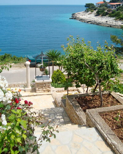 Korčula Korčula 604