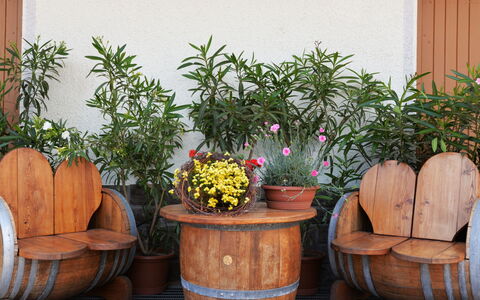 Andriano 602: Maceta, Planta De Casa, Planta, Flor, Jardín, Hierba, Barril, Habitación, Madera, Mueble