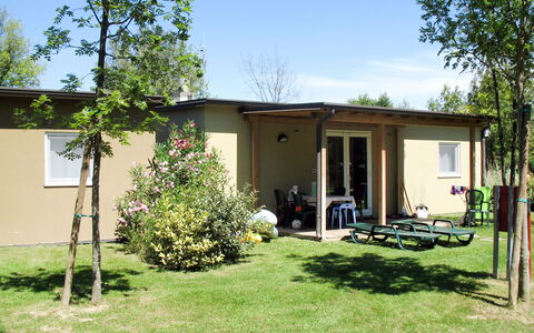 Grado 651: Planta, Cielo, Propiedad, Edificio, Árbol, Ventana, Sombra, Casa, Flor, El Terreno Del Lote