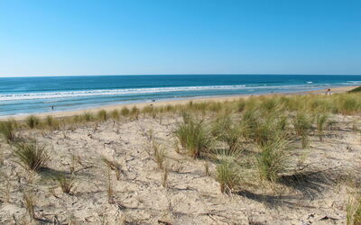 Biscarrosse 679