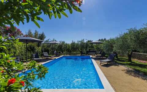 Sandra: Azul, Piscina, Recurso, Eco Hotel, Jardín, Mueble Para Exteriores, Paisajismo, Inmuebles, Hacienda, Sunlounger