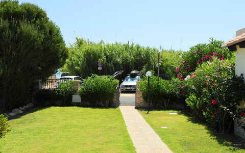 Mirto Marino (Rei410): Jardín, Propiedad, Césped, Hierba, Arbusto, Casa, Yarda, Árbol, Bienes Raíces, Botánica