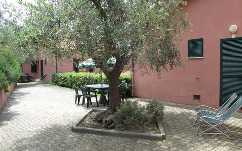 Alojamiento:&nbsp;Elbamar Lacona 1 615.4