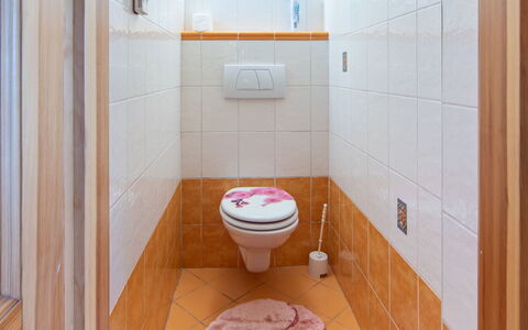 Karasova Ii: Asiento Del Baño, Piso, Pared, Suelo, Baño, Baño, Arreglo De Tubería, Diseño De Interiores, Loseta, Plomería