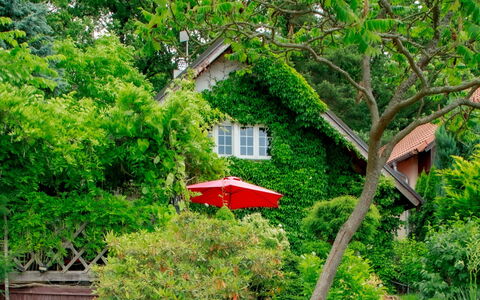 Karasova Ii: Planta, Naturaleza, Edificio, Ventana, Rama, Árbol, Paisaje Natural, Vegetación, Casa, Biome