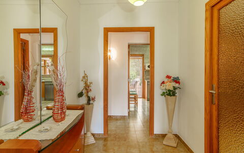 Can Damia: Planta, Espejo, Marco, Planta De Casa, Flor, Madera, Edificio, Naranja, Encendiendo, Puerta