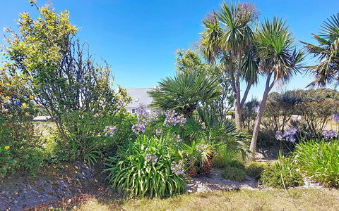 Ker Laouen: Vegetación, Arbusto, Planta De La Comunidad, Planta Floreciendo, Jardín, Plantas Leñosas, Shrubland, Jardín Botánico