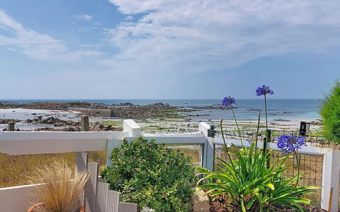 Ti an Aod: Azul, Mar, Costa, Oceano, Jardín, Apuntalar, Paisajismo, Maceta, Planta De Casa