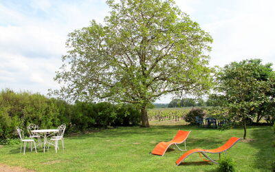 Les Mailloches - Lossay, Centro, Francia
