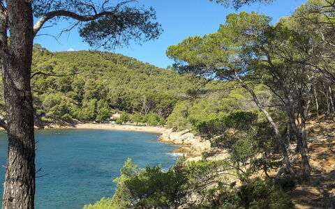 Six Fours 617: Agua, Cielo, Planta, Los Recursos Hídricos, Planta De La Comunidad, Ecorregión, Árbol, Azur, Paisaje Natural, Vegetación