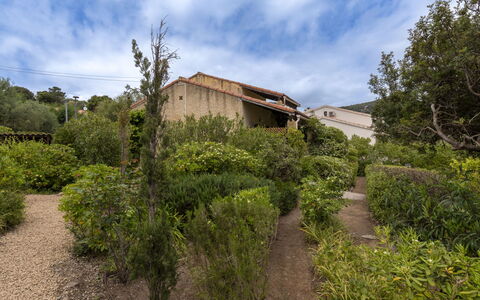 La Baraka: Vegetación, Arbusto, Paisaje, Planta De La Comunidad, Área Rural, El Terreno Del Lote, Jardín, Cobertura Del Suelo, Cabaña